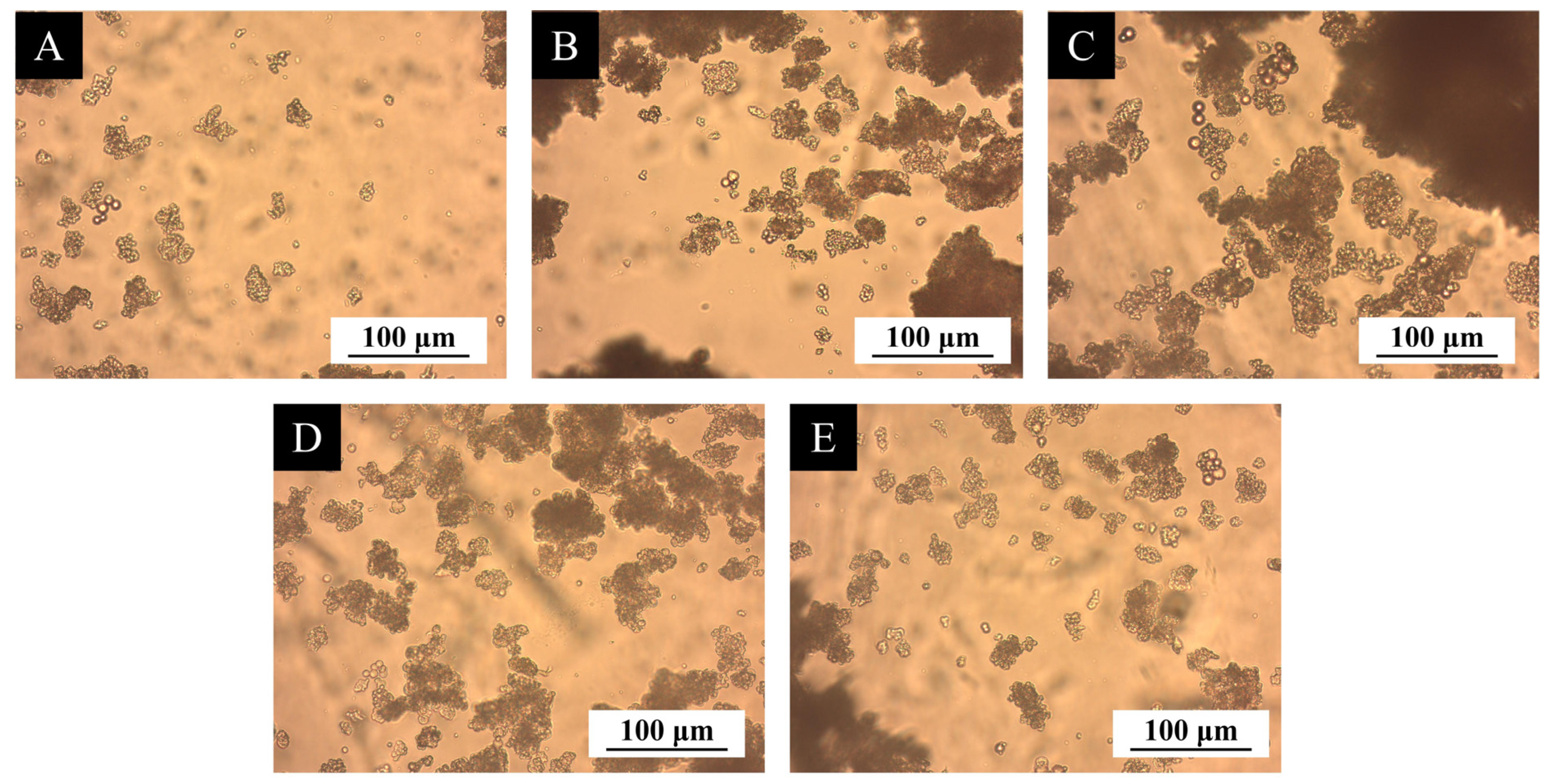 Coatings 15 01112 g005 Coatings 15 01112 g005
