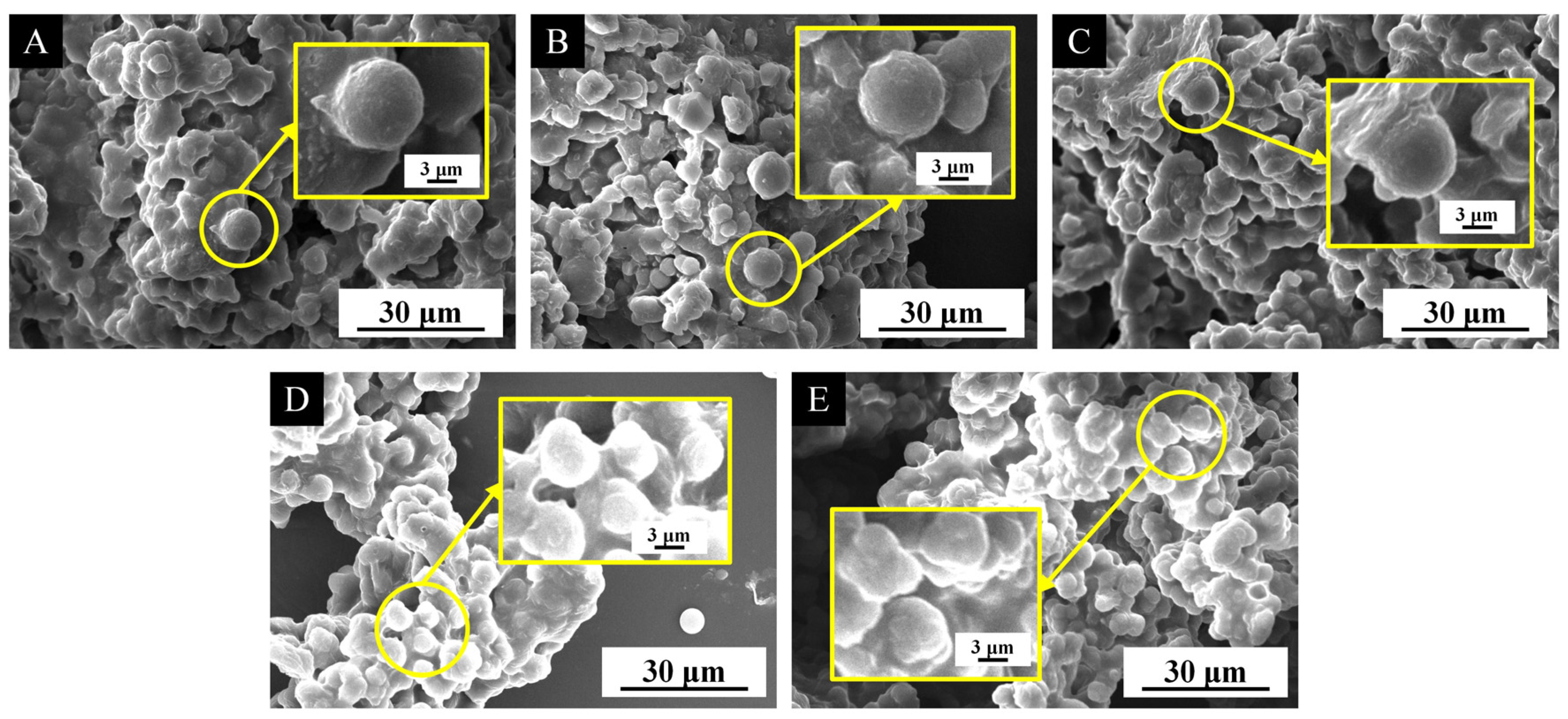 Coatings 15 01112 g006 Coatings 15 01112 g006