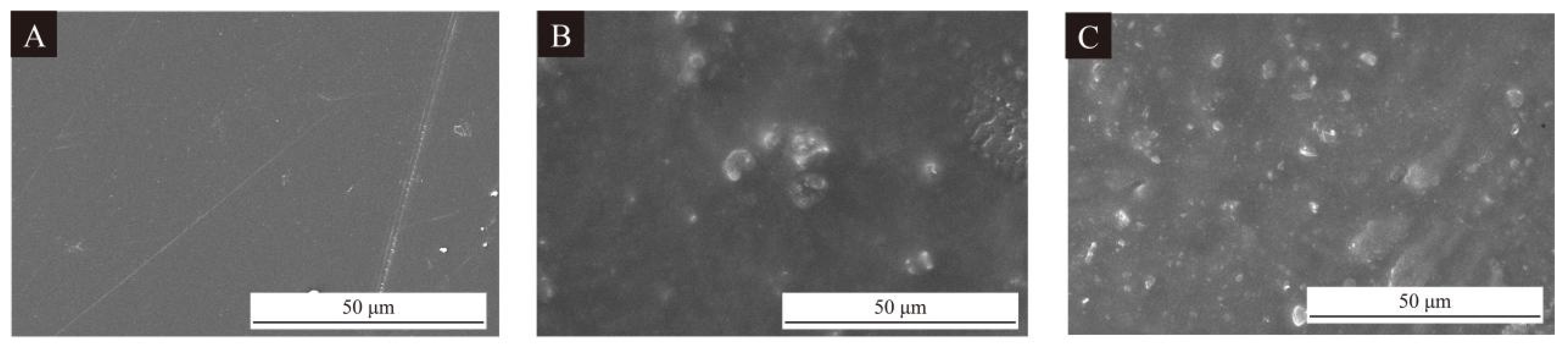 Coatings 15 01112 g011 Coatings 15 01112 g011