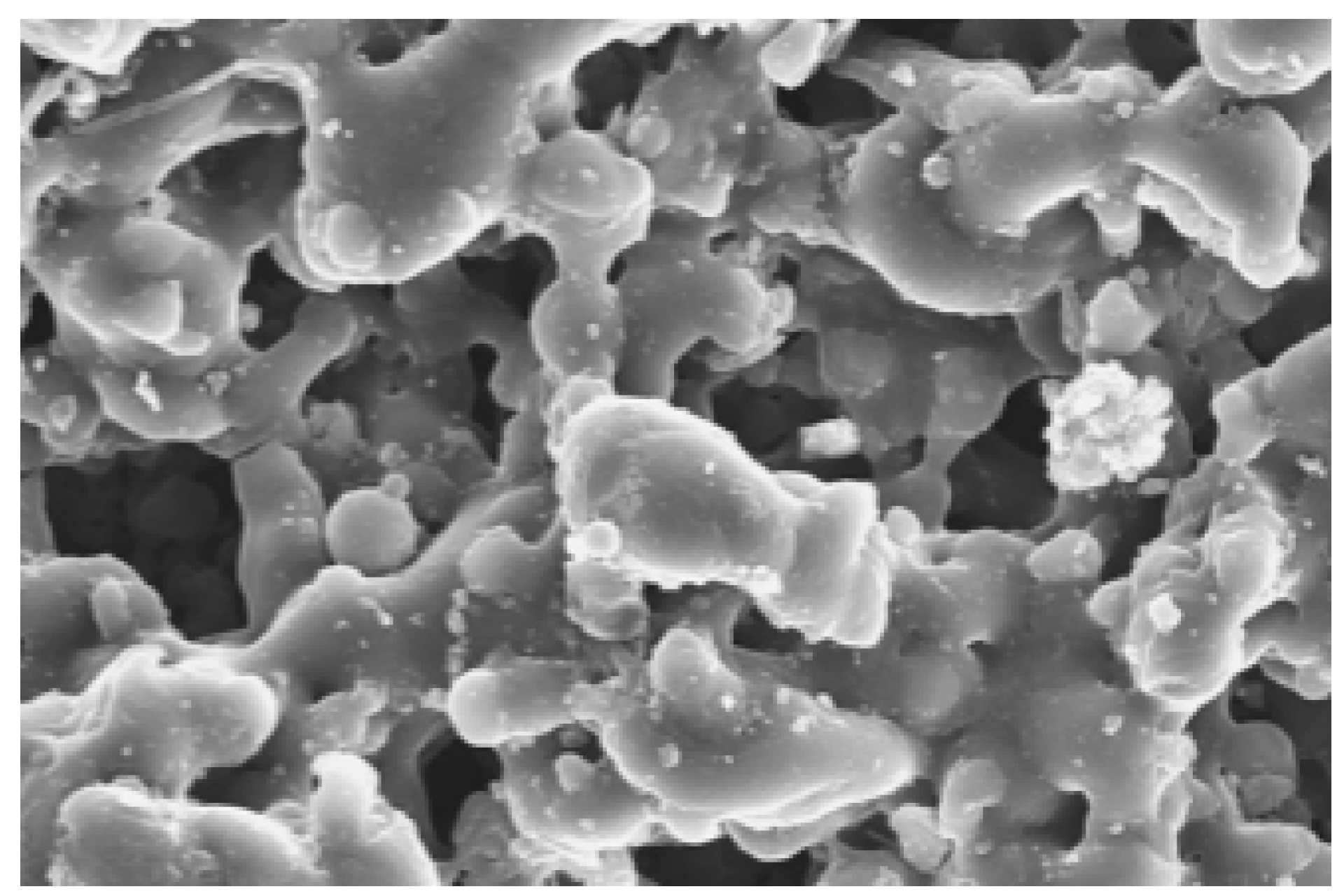 Coatings 15 01128 g003