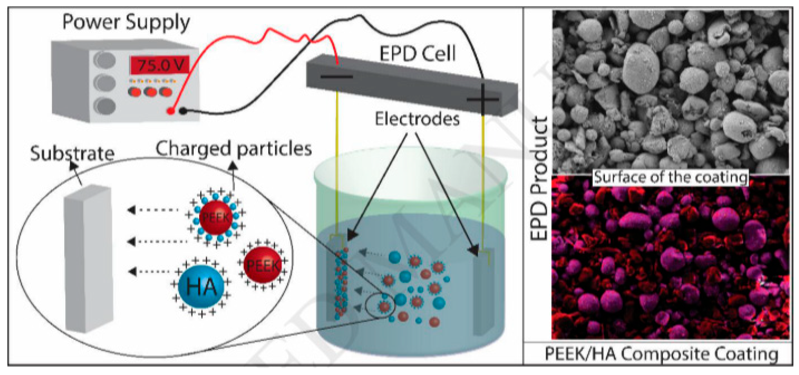 Coatings 15 01128 g010