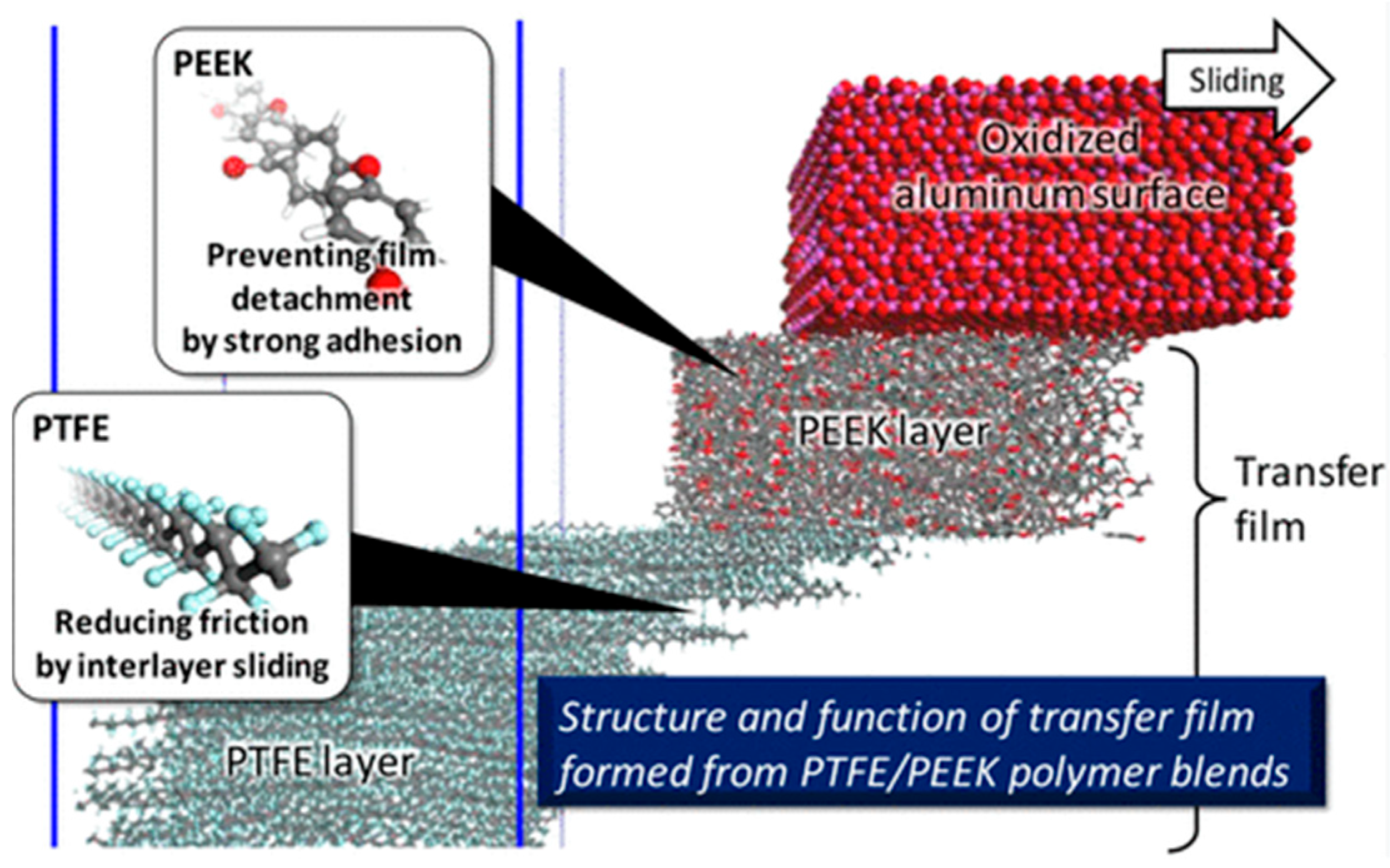 Coatings 15 01128 g012