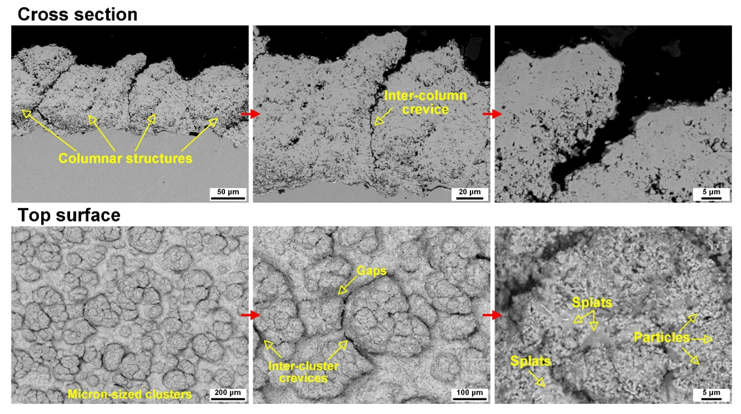 Coatings 15 01132 g005