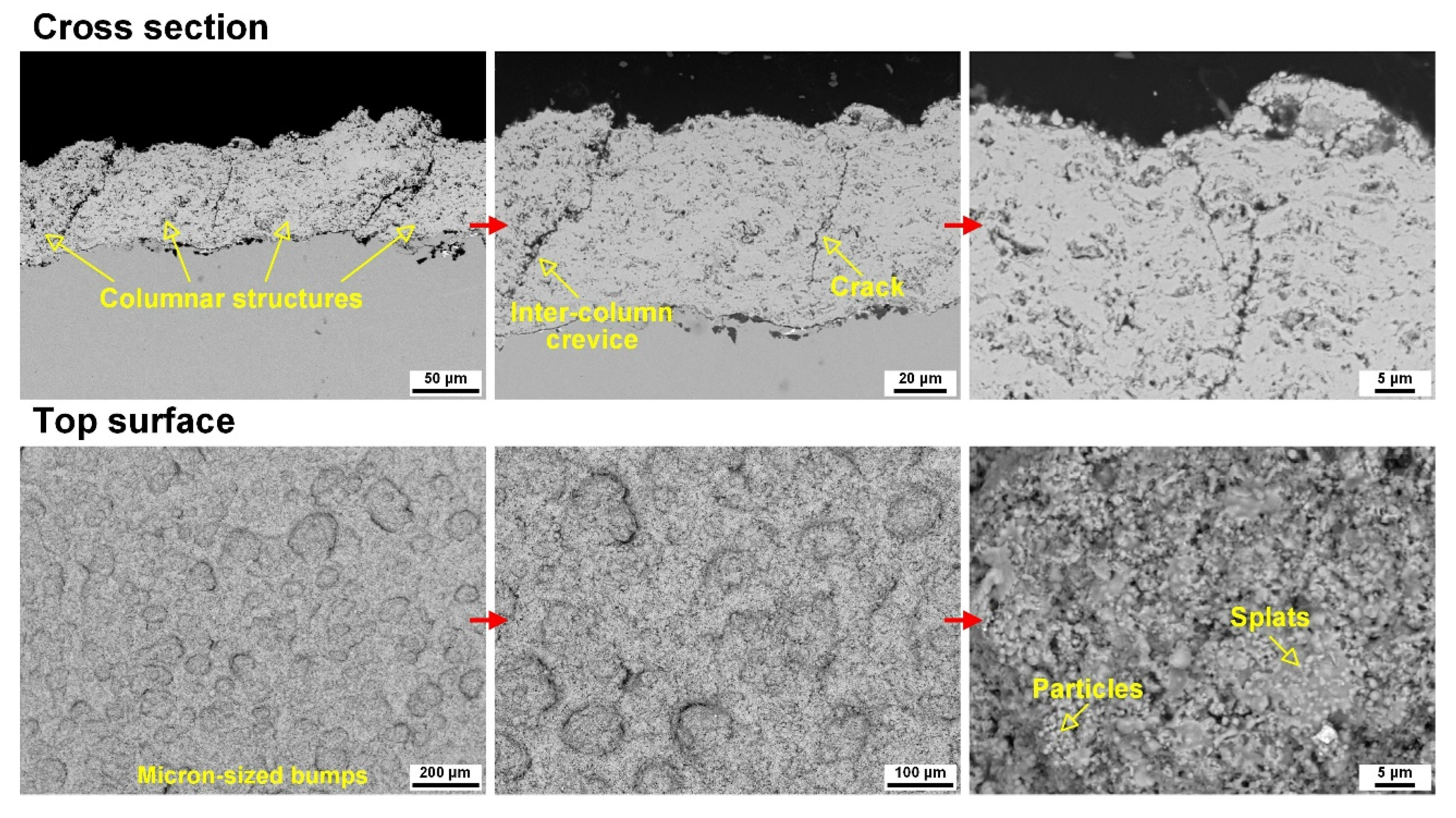 Coatings 15 01132 g006