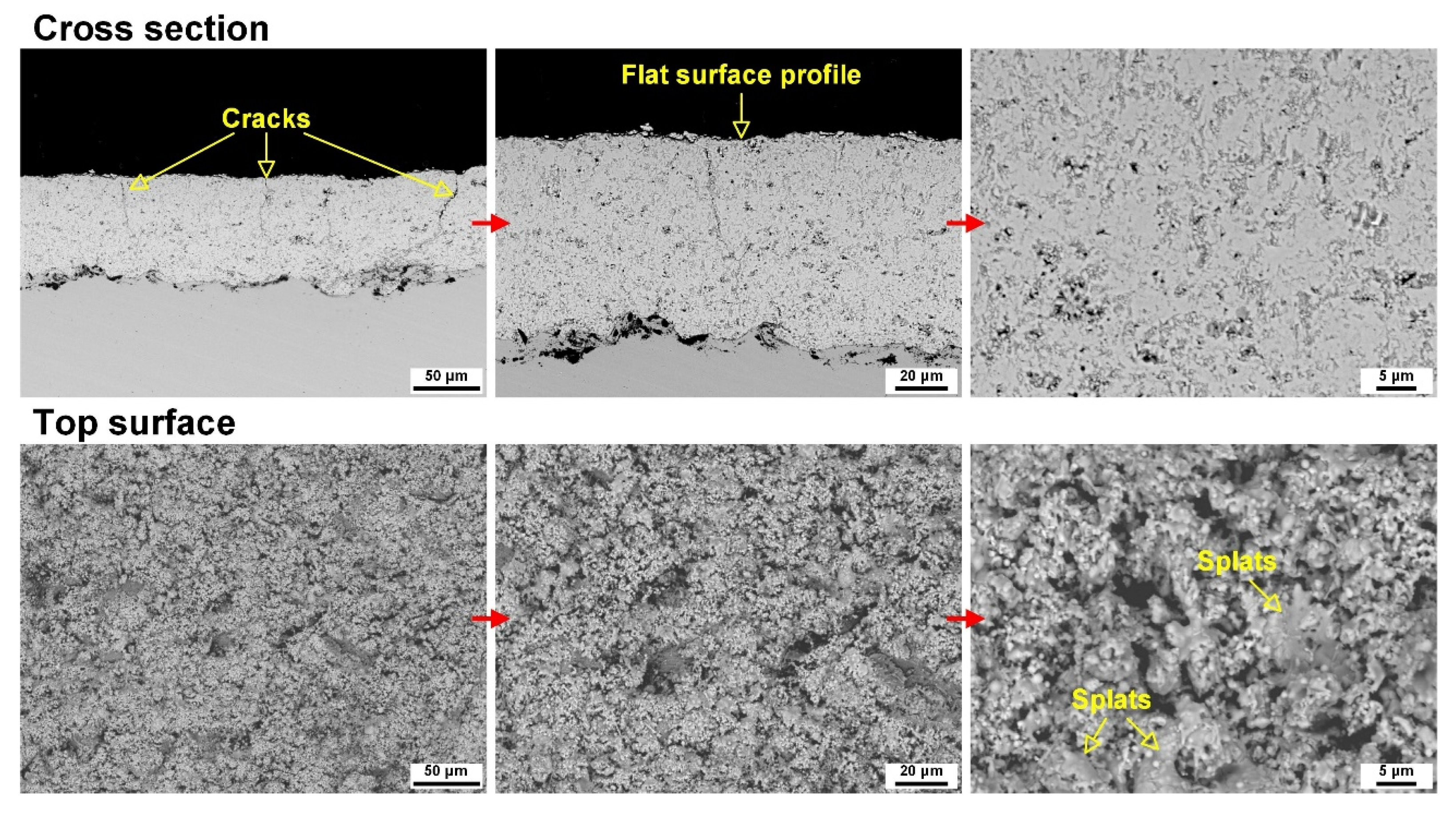 Coatings 15 01132 g007