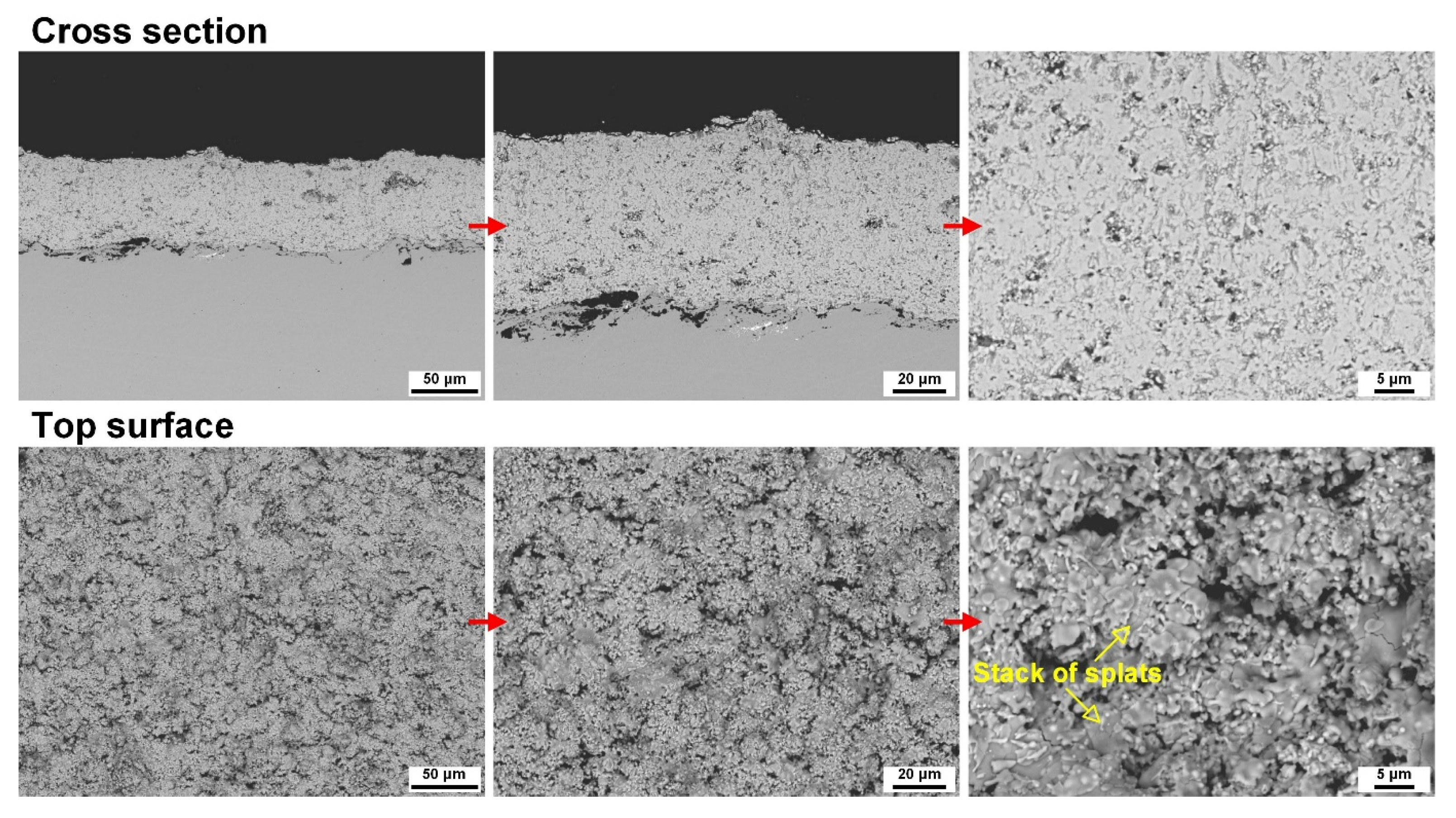 Coatings 15 01132 g008