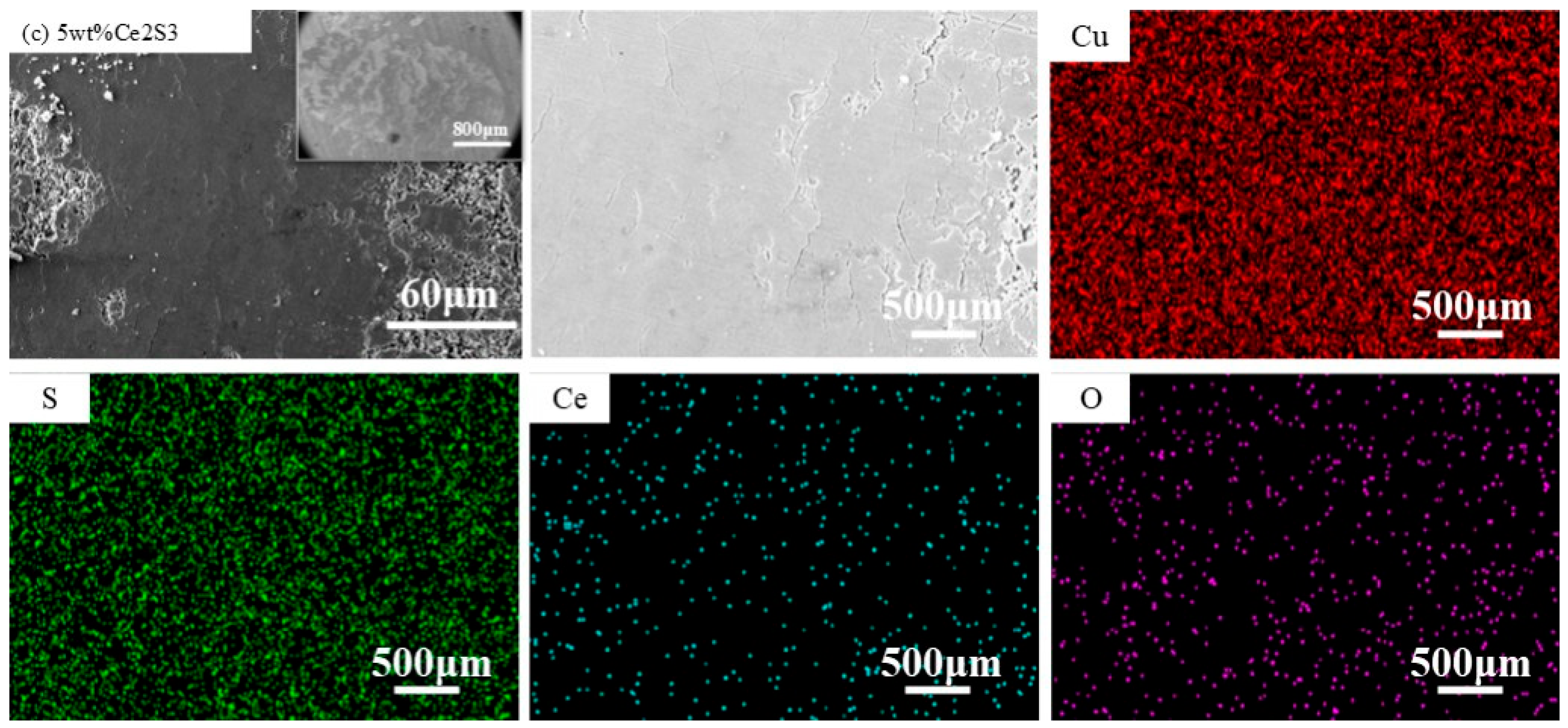 Coatings 15 01135 g011b
