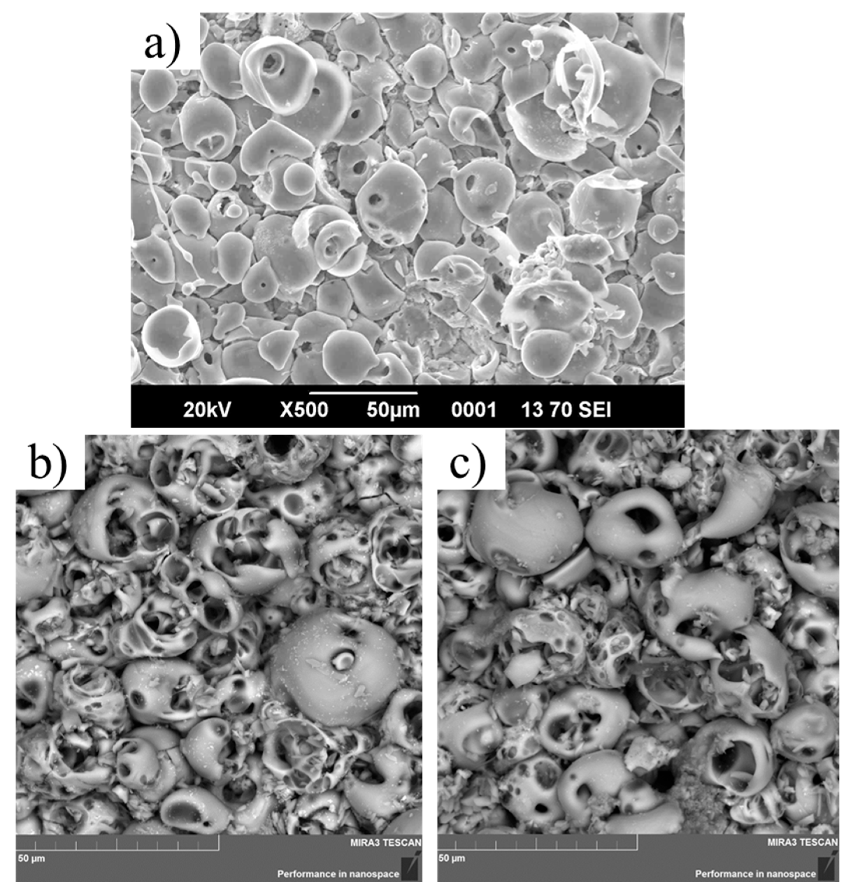 Coatings 15 01142 g001