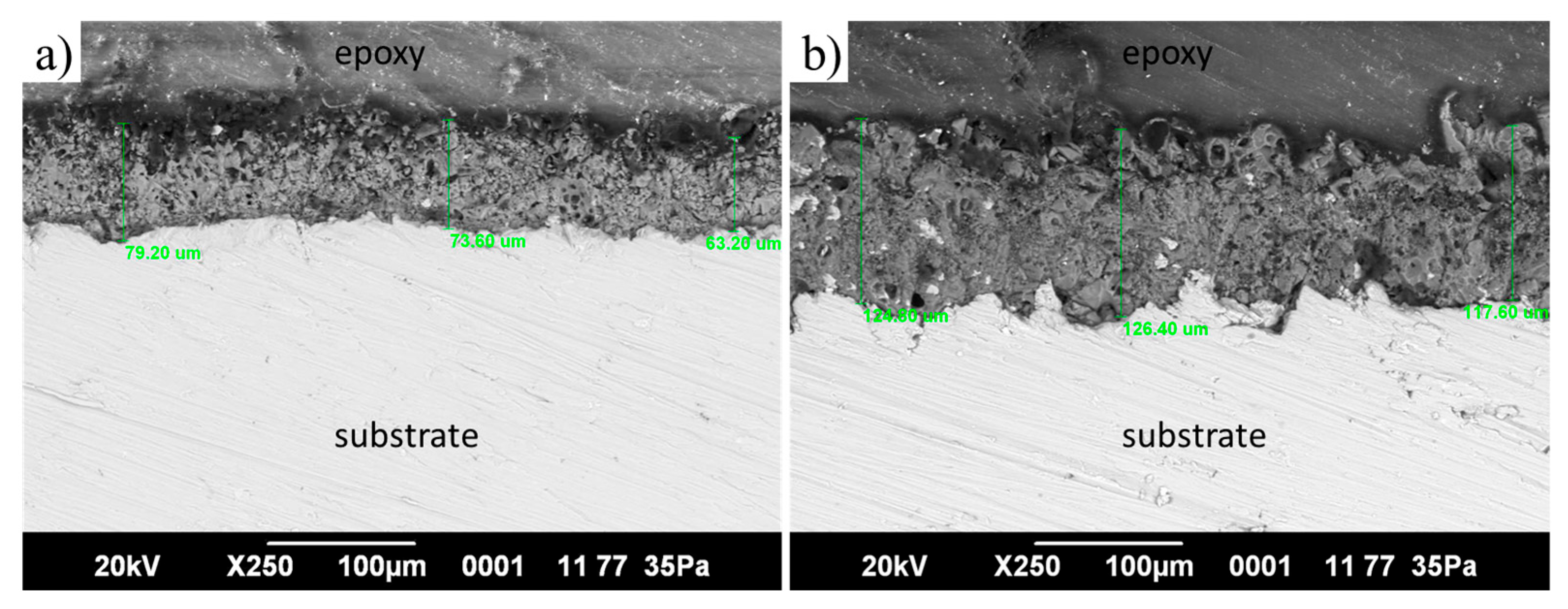 Coatings 15 01142 g004