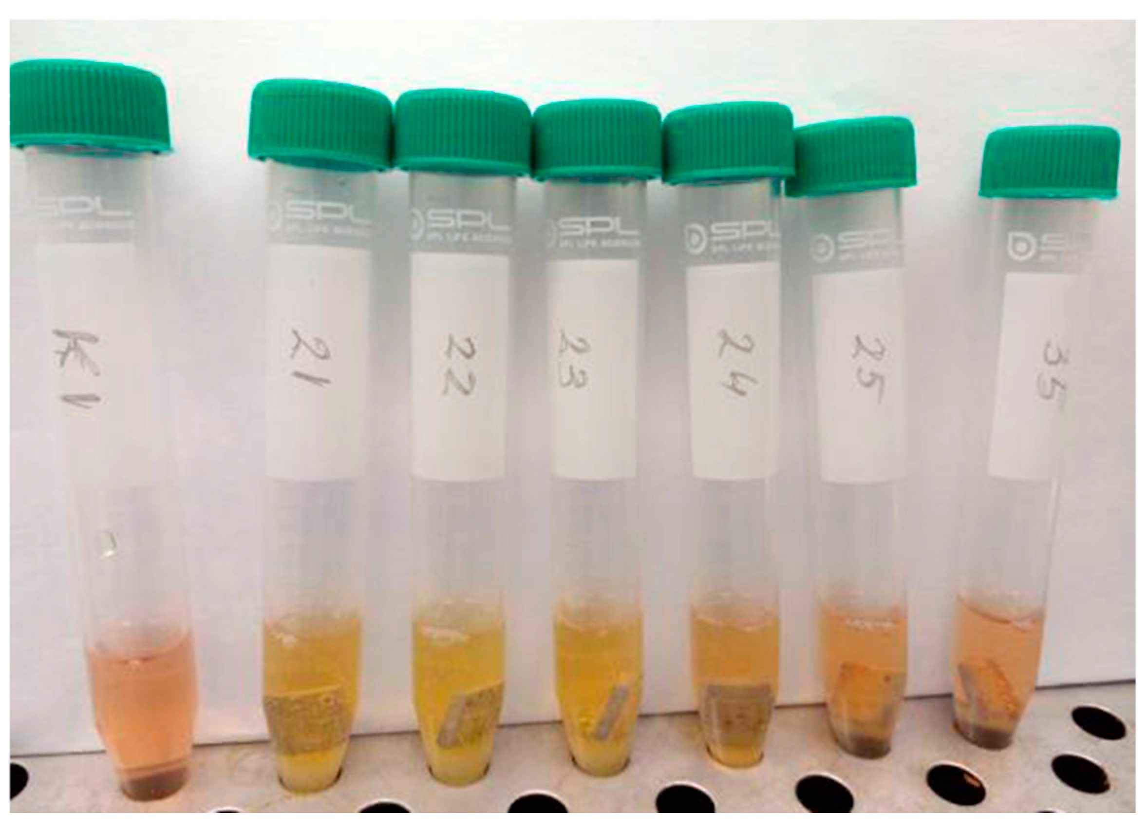 Coatings 15 01142 g010