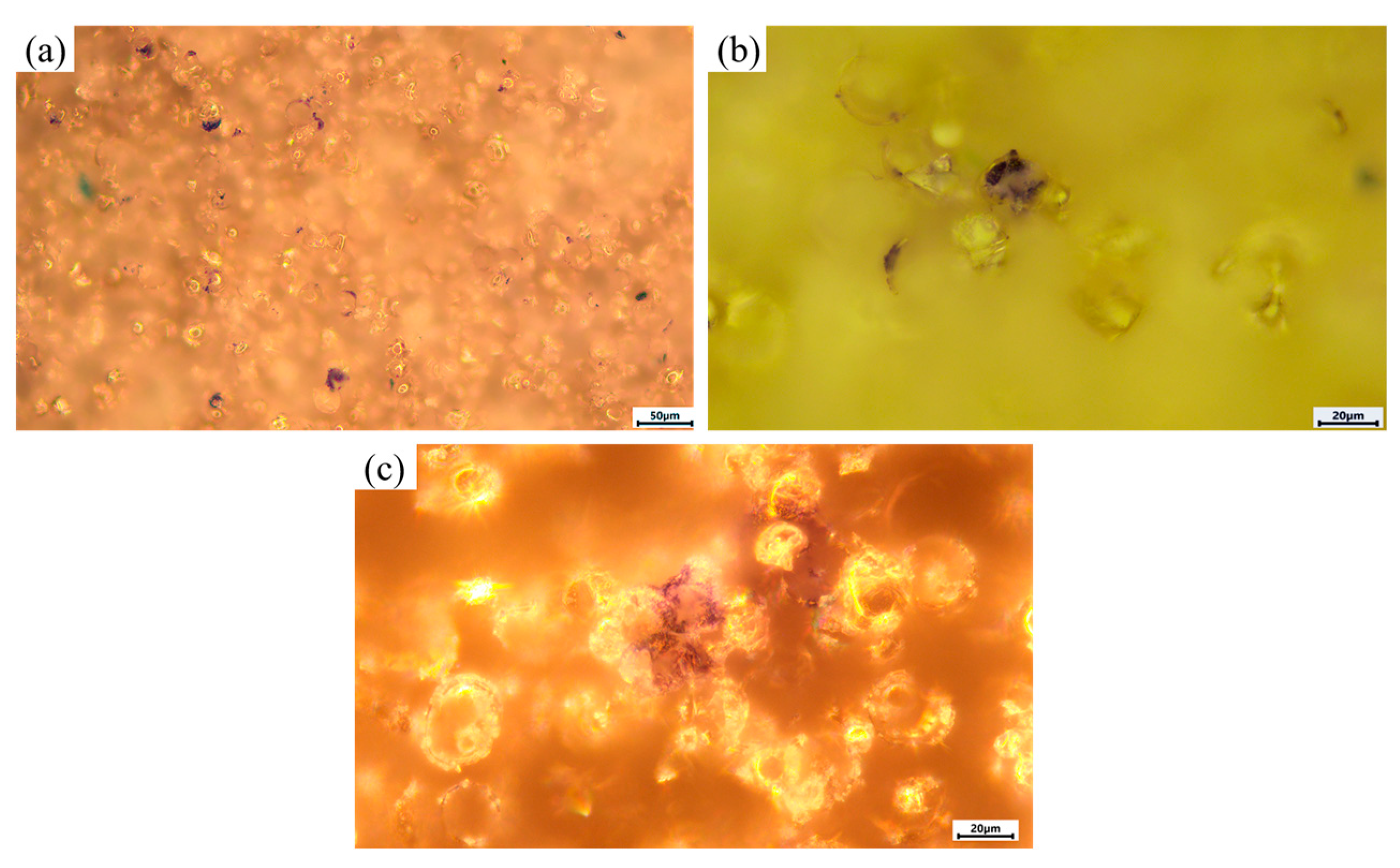 Coatings 15 01142 g013