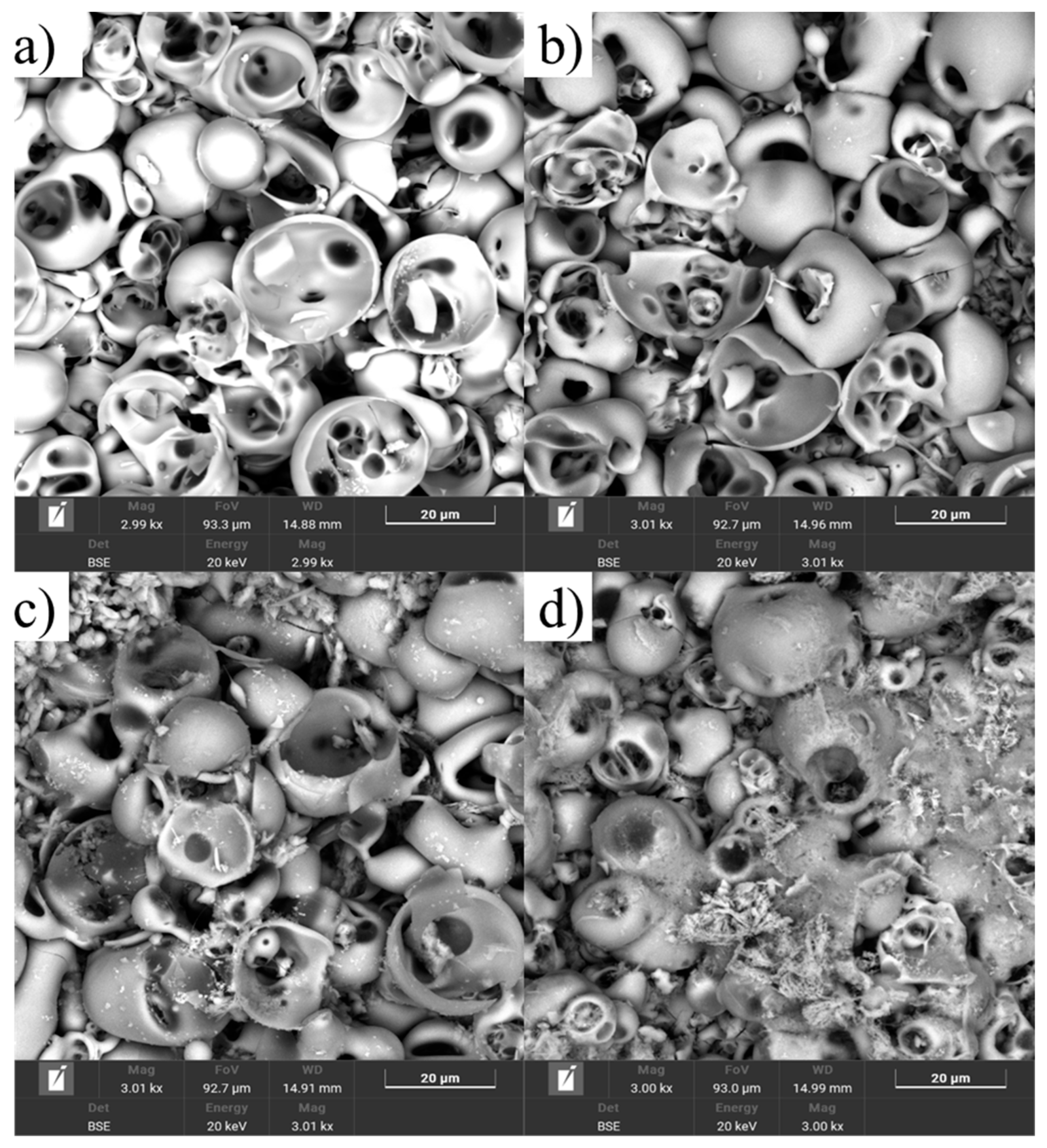 Coatings 15 01142 g014