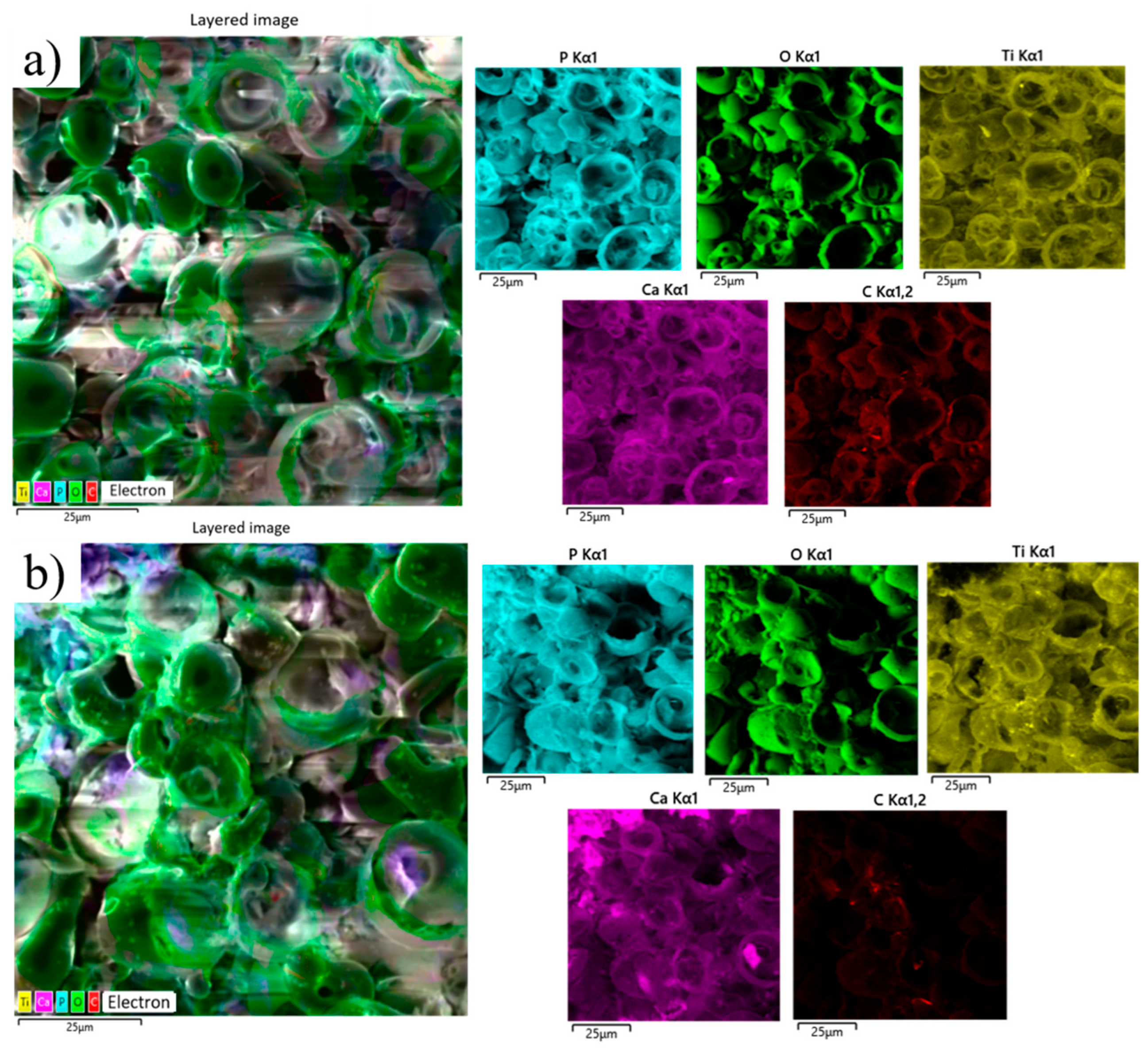 Coatings 15 01142 g015