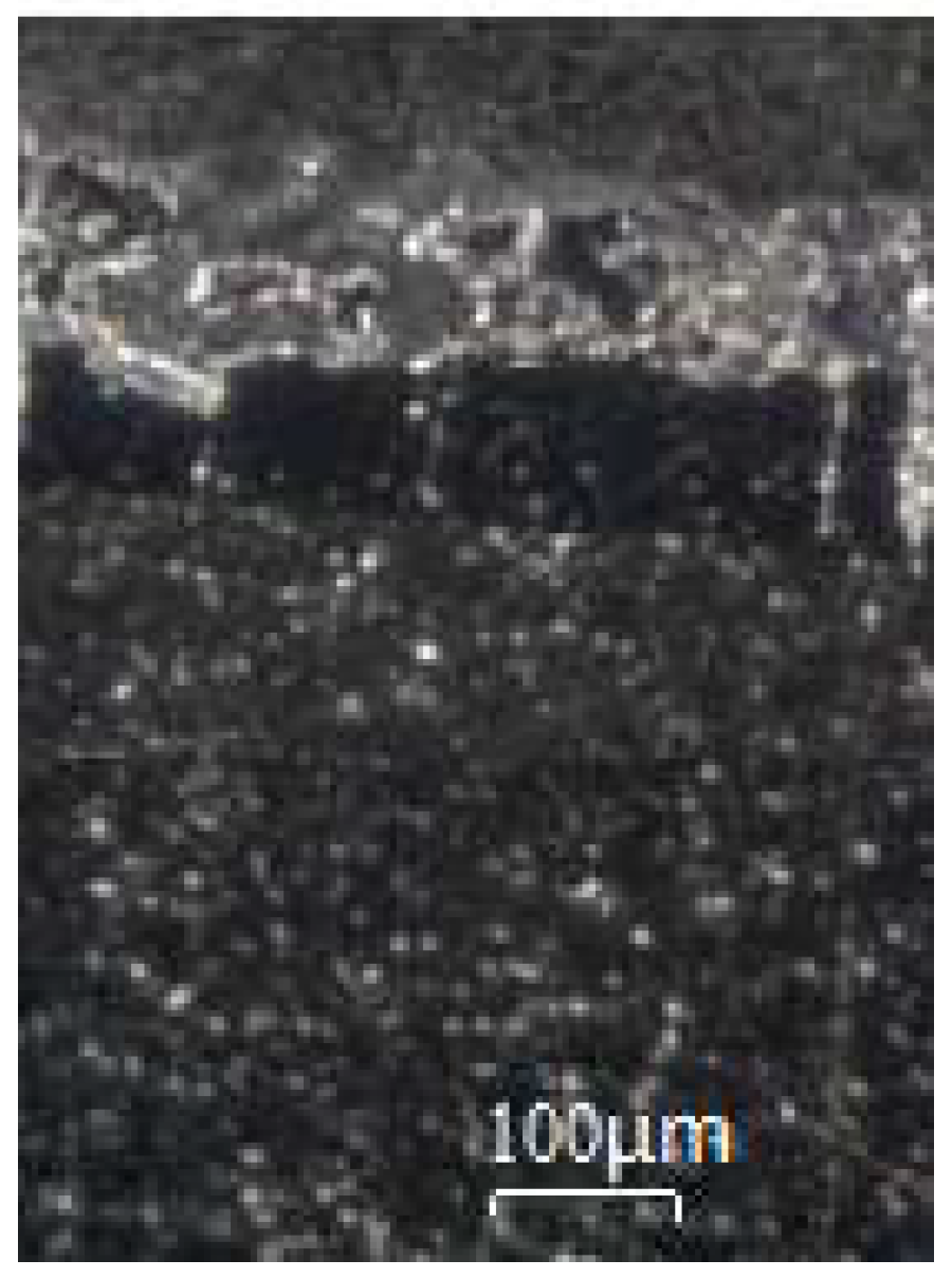 Coatings 15 01168 g012