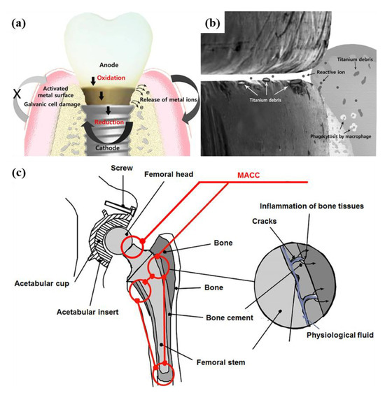 Coatings 15 01180 g003