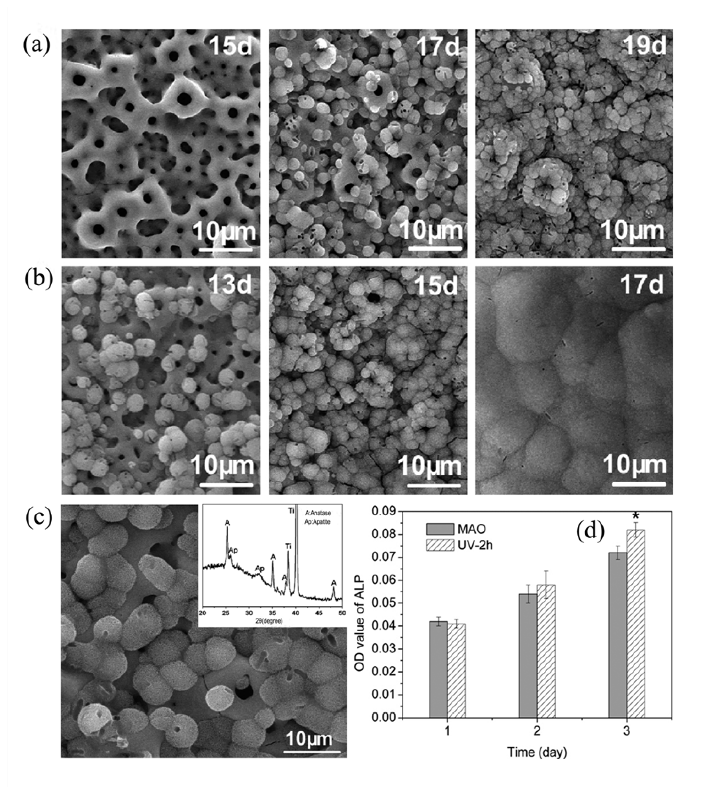 Coatings 15 01201 g005 Coatings 15 01201 g005