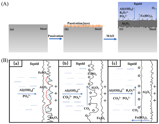 Coatings 15 01201 g009