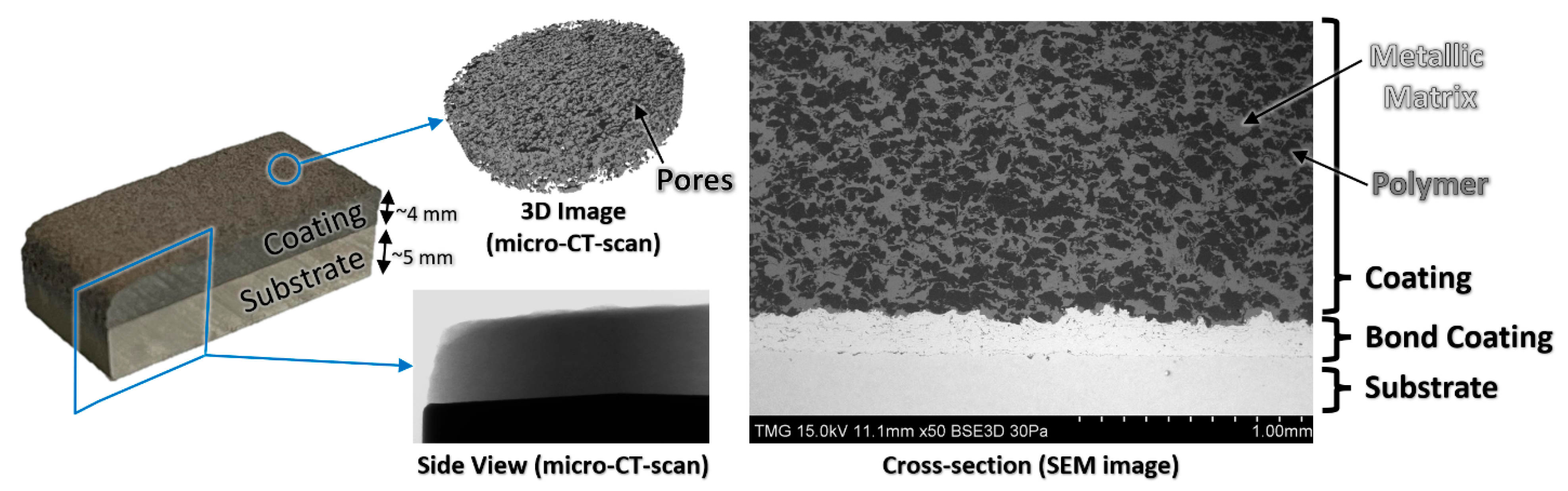 Coatings 15 01216 g006