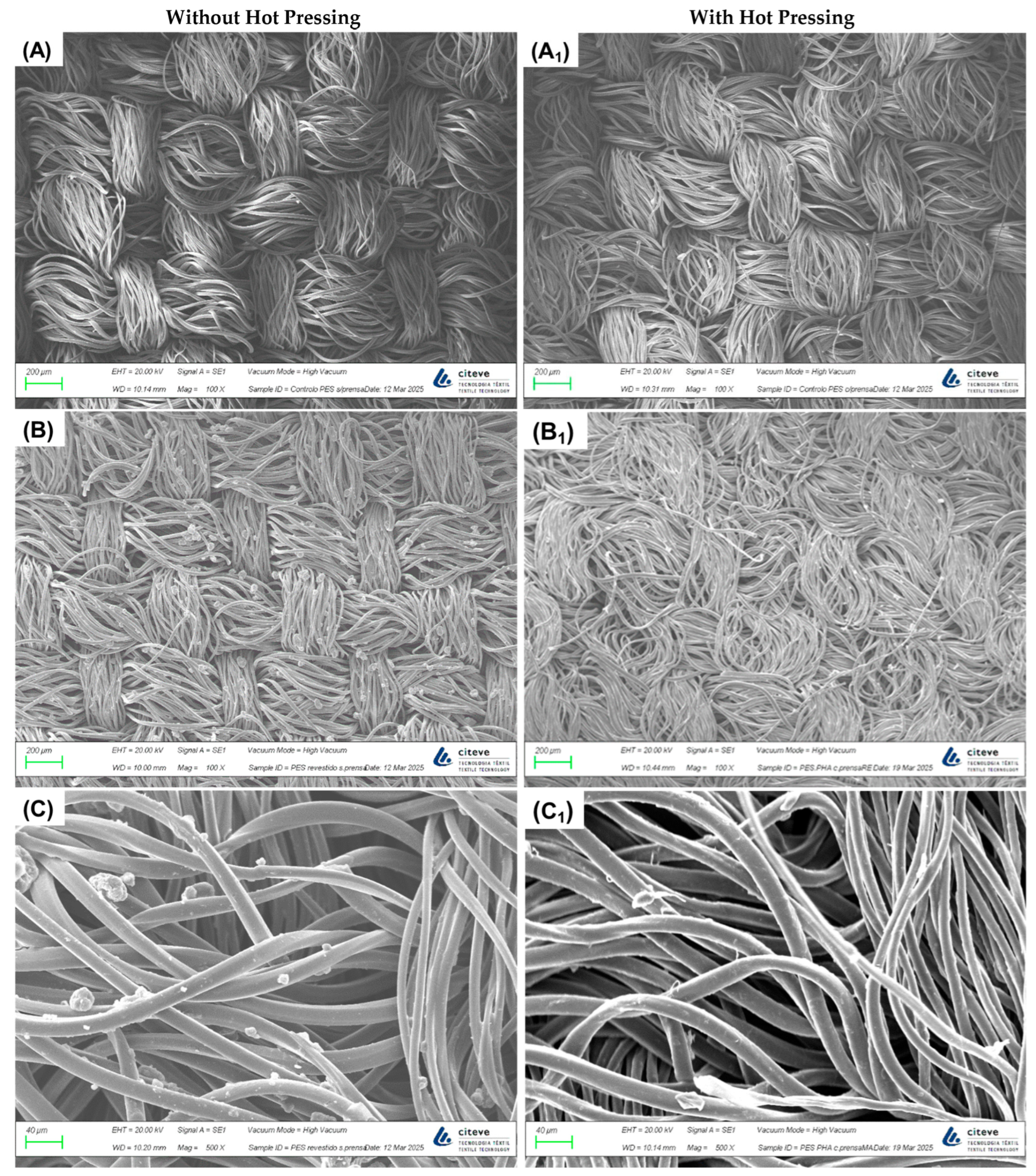 Coatings 15 01237 g001a Coatings 15 01237 g001a