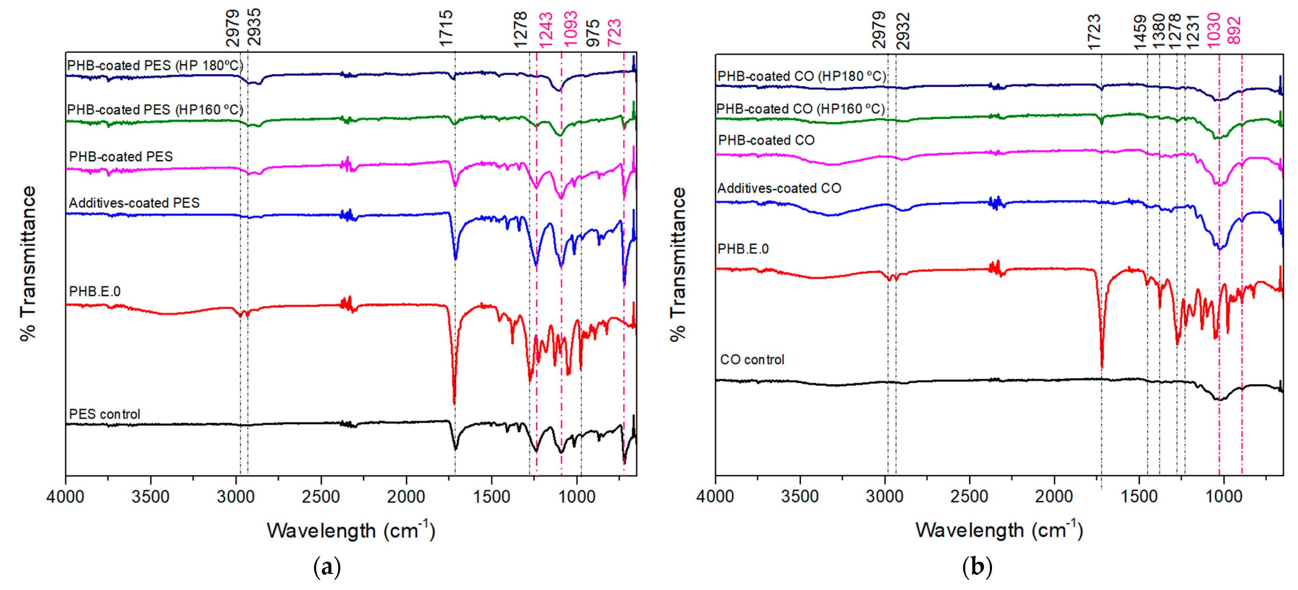 Coatings 15 01237 g002 Coatings 15 01237 g002