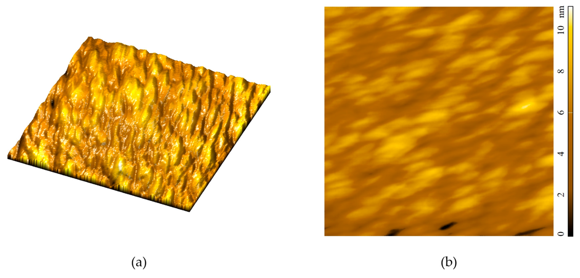 Coatings 15 01240 g006 Coatings 15 01240 g006