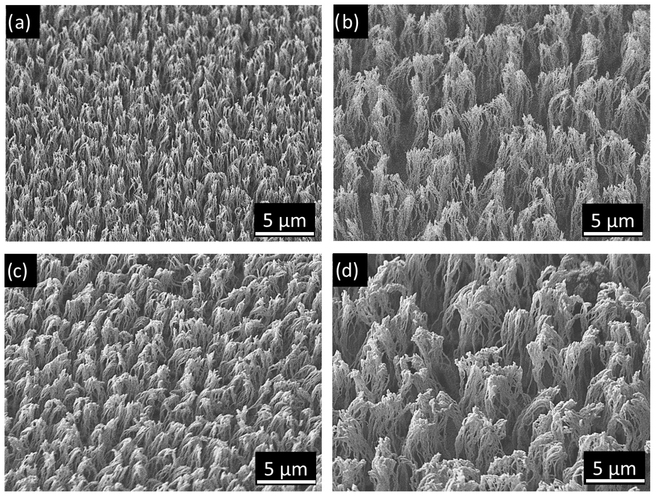 Coatings 15 01247 g002 Coatings 15 01247 g002