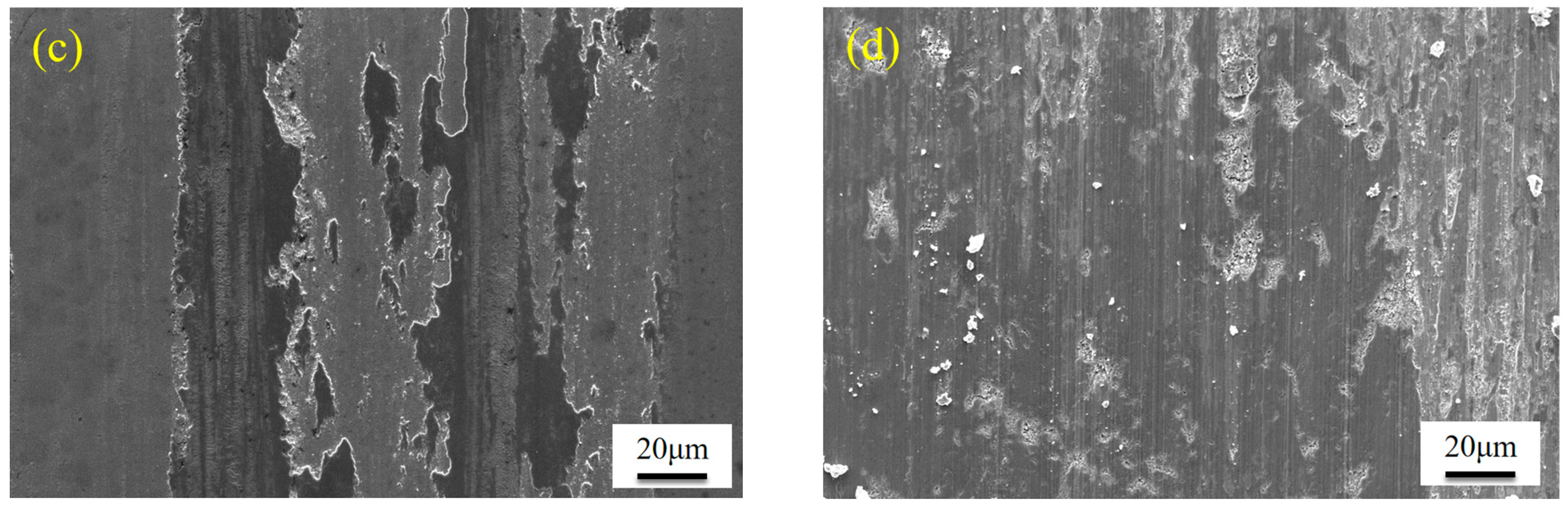 Coatings 15 01335 g004b Coatings 15 01335 g004b