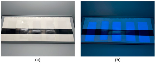 Coatings 15 01393 g007