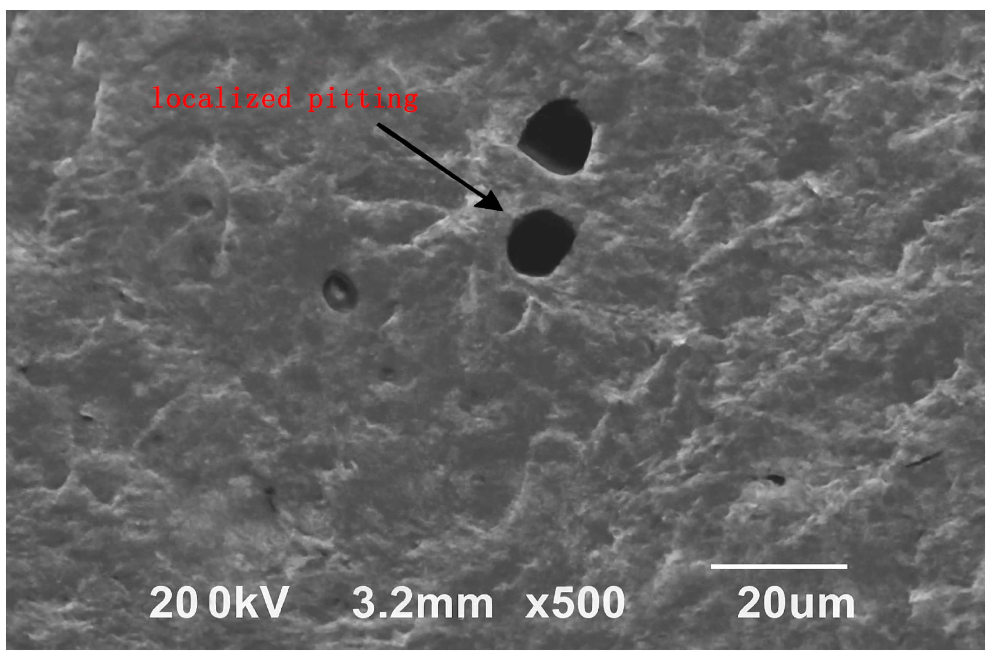 Coatings 15 01470 g004 Coatings 15 01470 g004