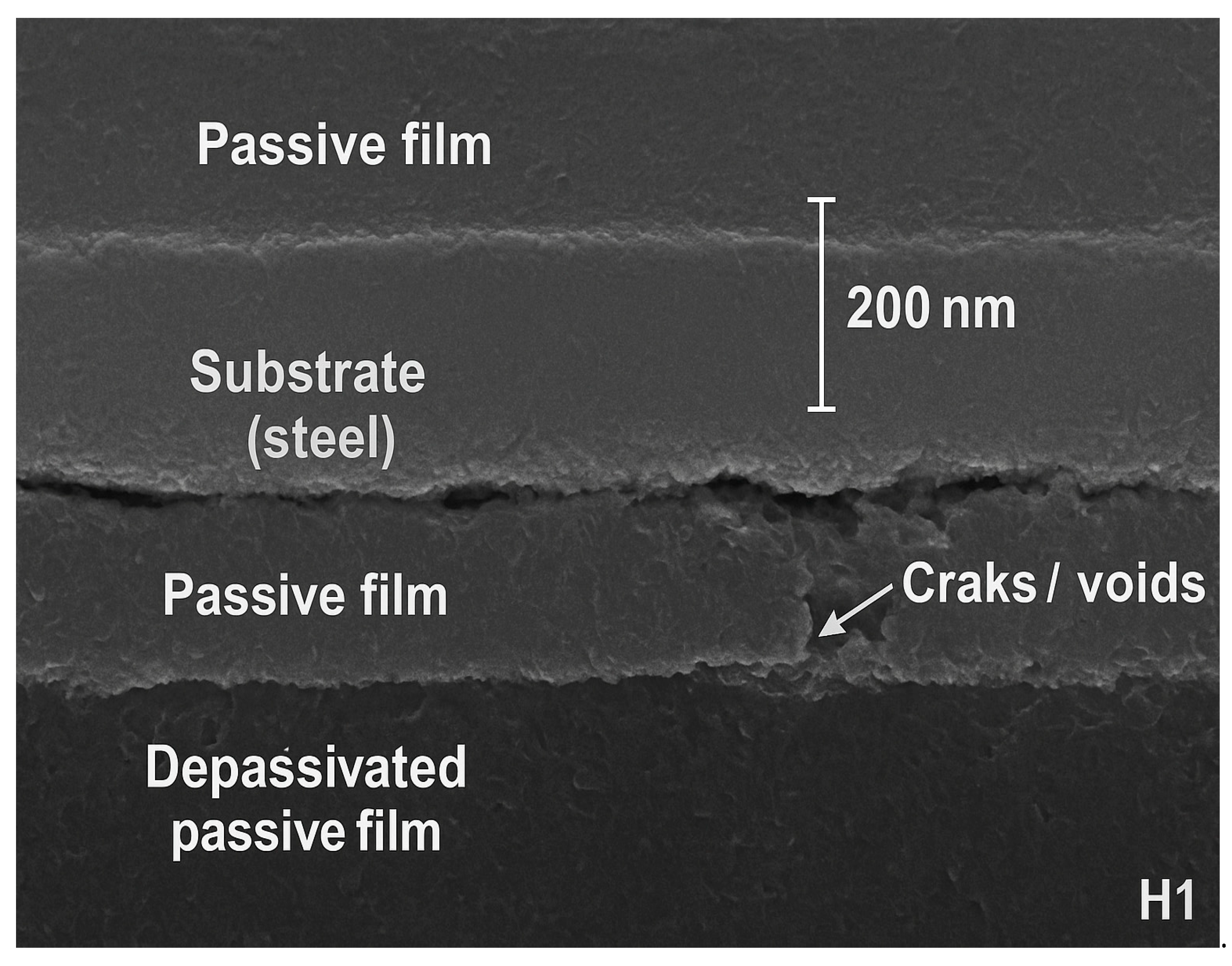 Coatings 15 01470 g009 Coatings 15 01470 g009