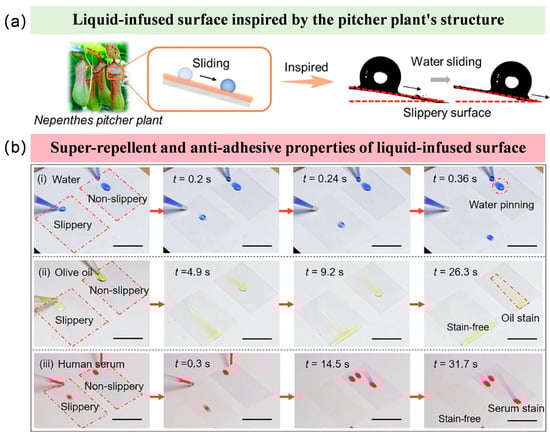 Coatings 15 01486 g004