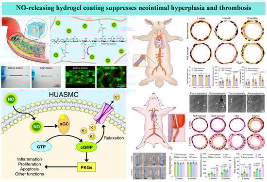 Coatings 15 01486 g005