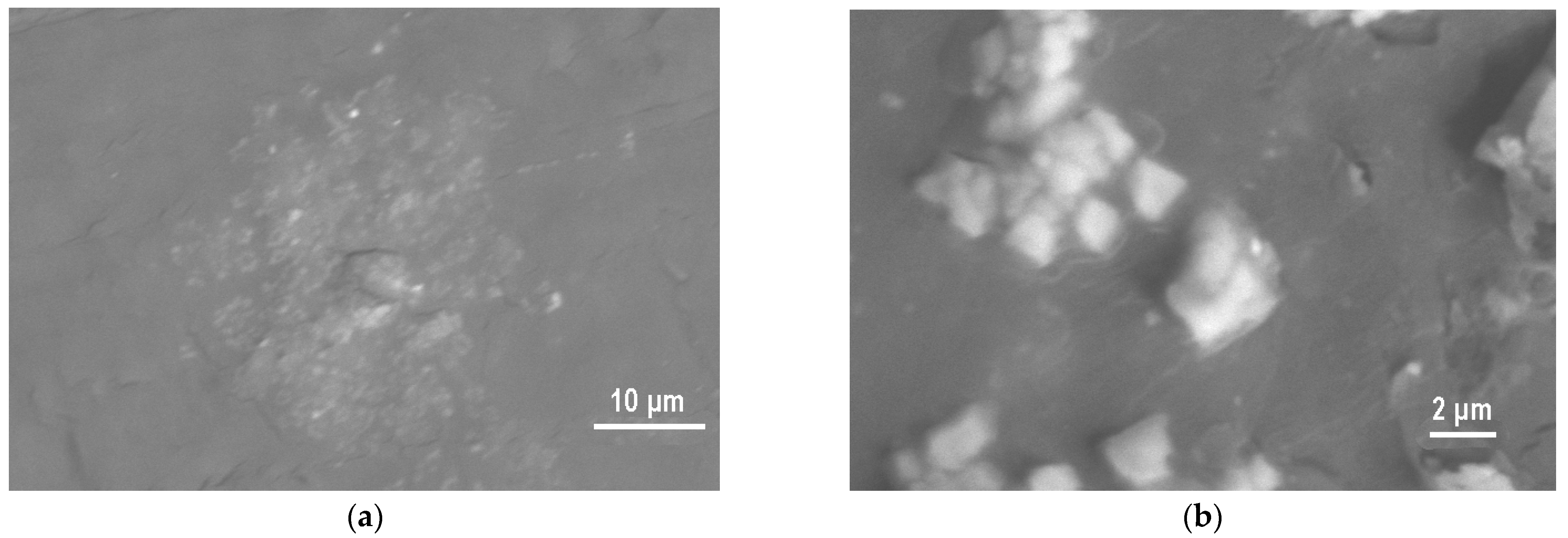 Coatings 16 00002 g007