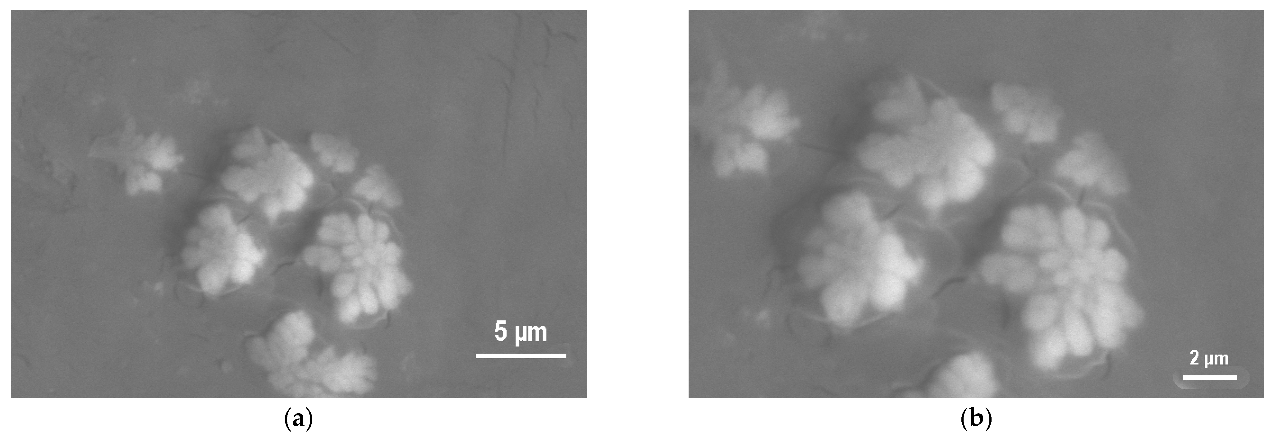 Coatings 16 00002 g008