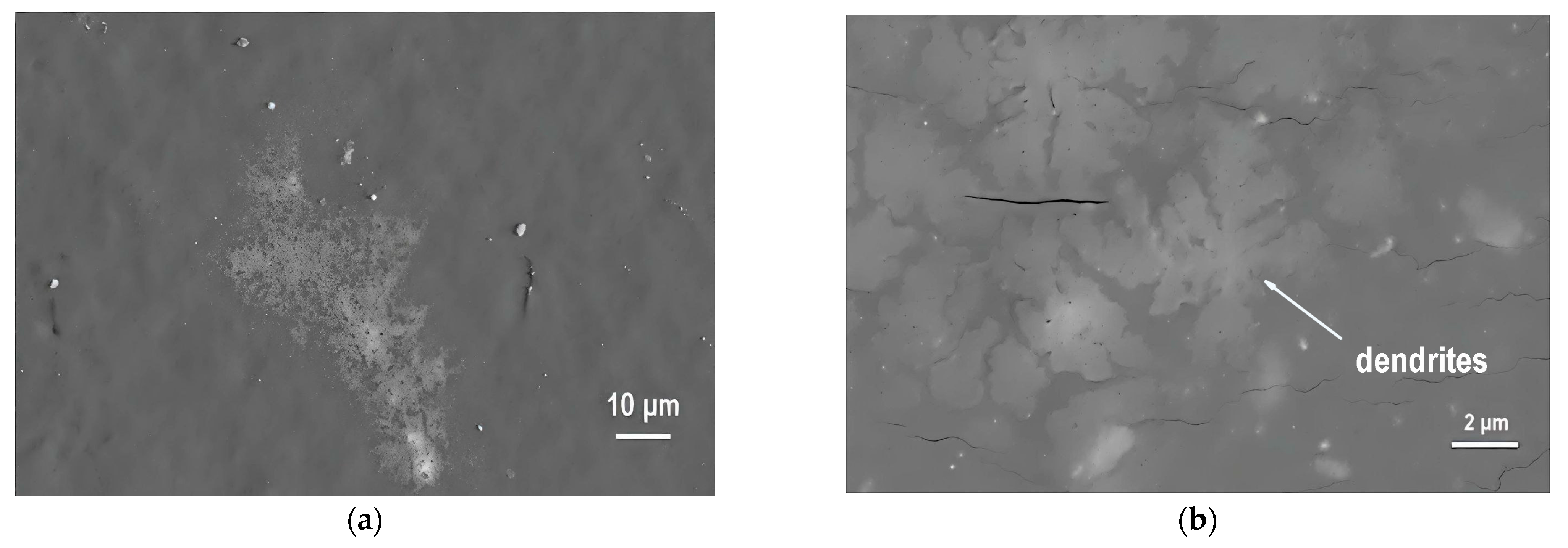 Coatings 16 00002 g010