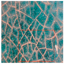 Coatings 16 00014 i011