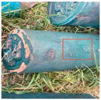 Coatings 16 00014 i016