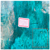 Coatings 16 00014 i018