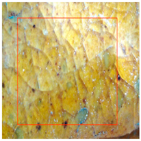 Coatings 16 00014 i021