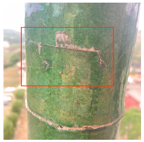 Coatings 16 00014 i026