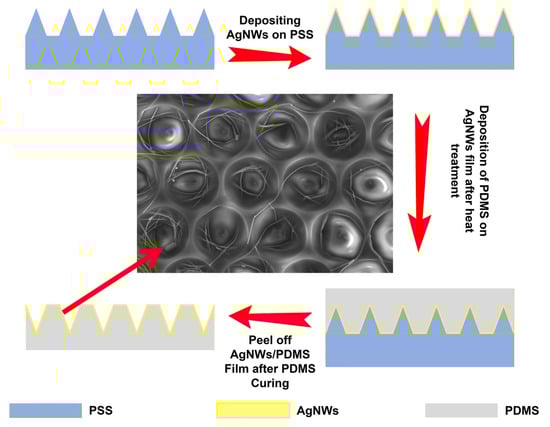 Schematic illustration of the fabrication process for AgNWs/PDMS composite films.