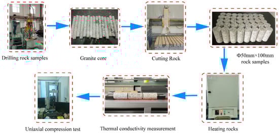 Schematic of the experiment procedure.