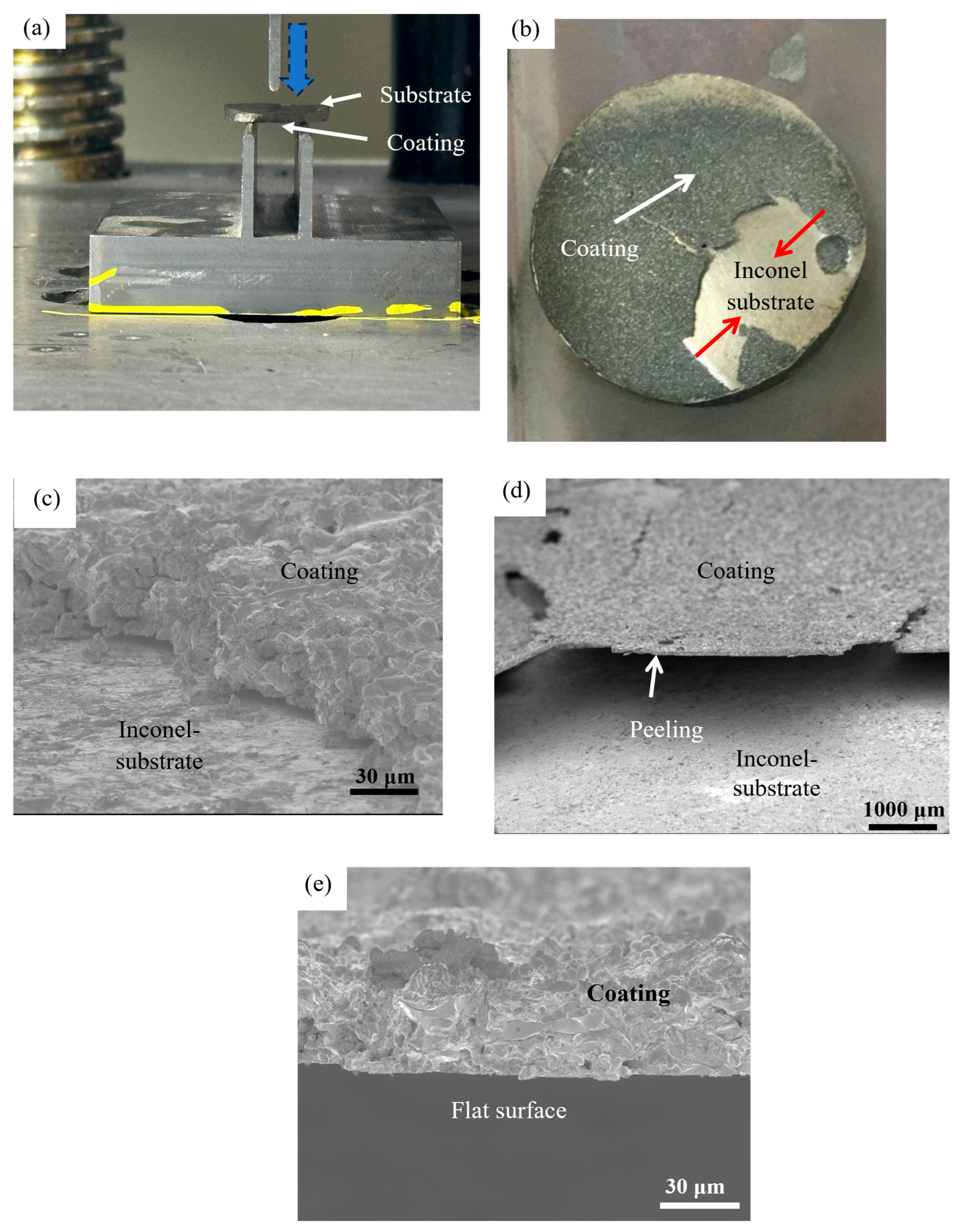 Coatings 16 00034 g014 Coatings 16 00034 g014