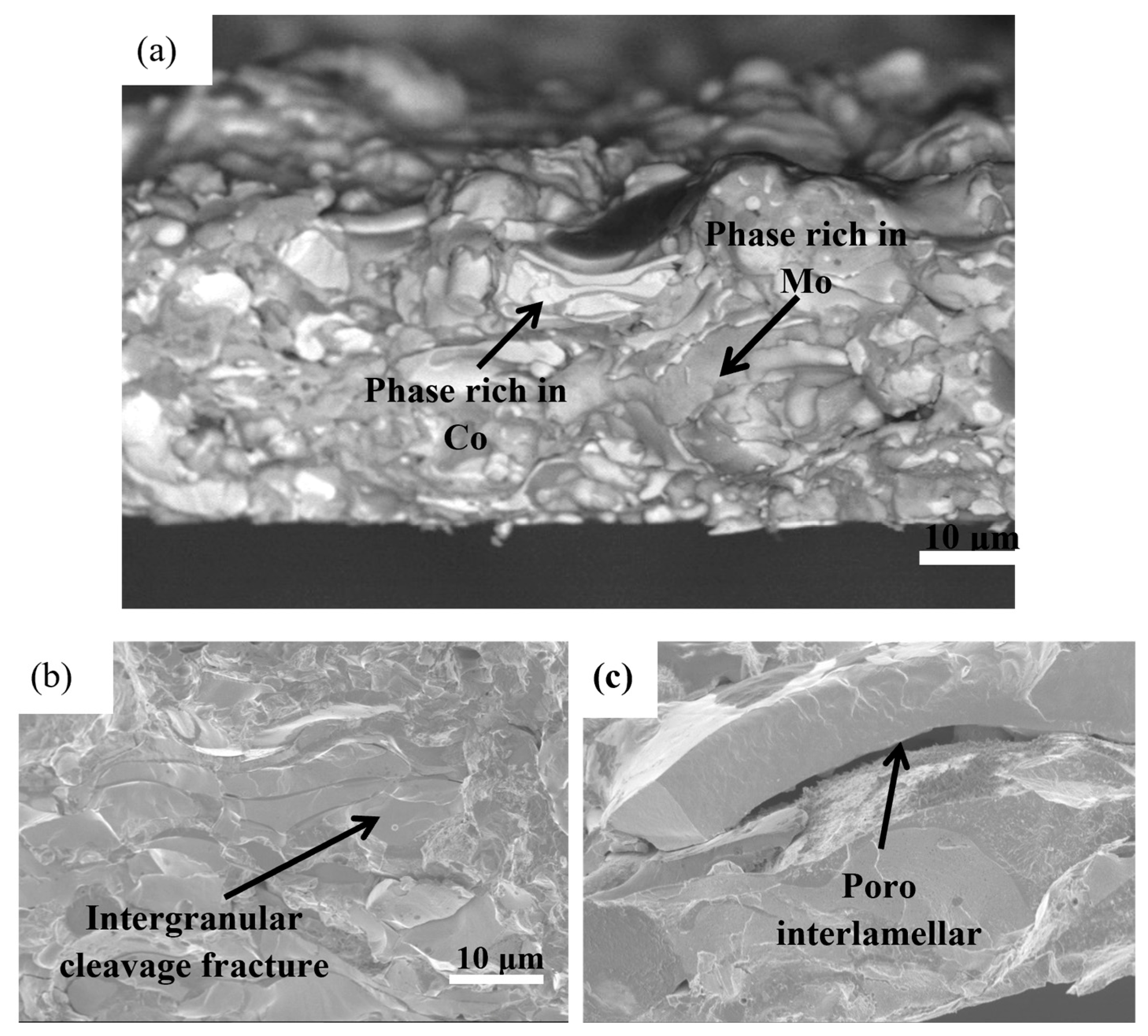 Coatings 16 00034 g015 Coatings 16 00034 g015