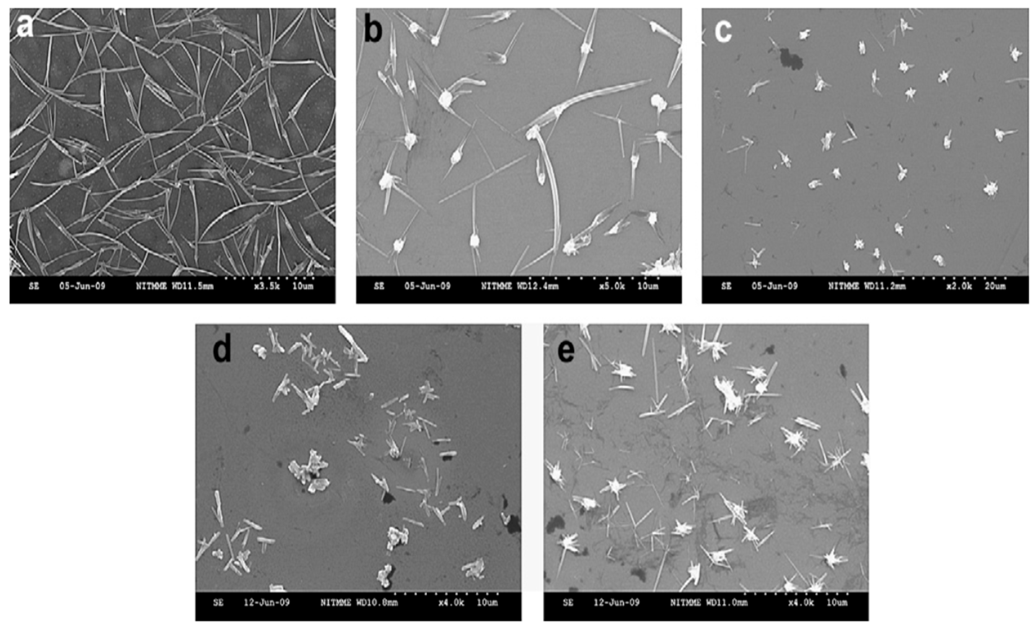 Coatings 16 00056 g009 Coatings 16 00056 g009