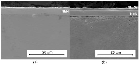 Cross-sections of (a) NbN and (b) oxidized NbN coatings on AISI 316L steel, magnification 2500×.