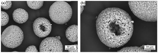 Typical SEM morphologies of the as-prepared CaZr4(PO4)6 powder: (a) at low and (b) high magnification.