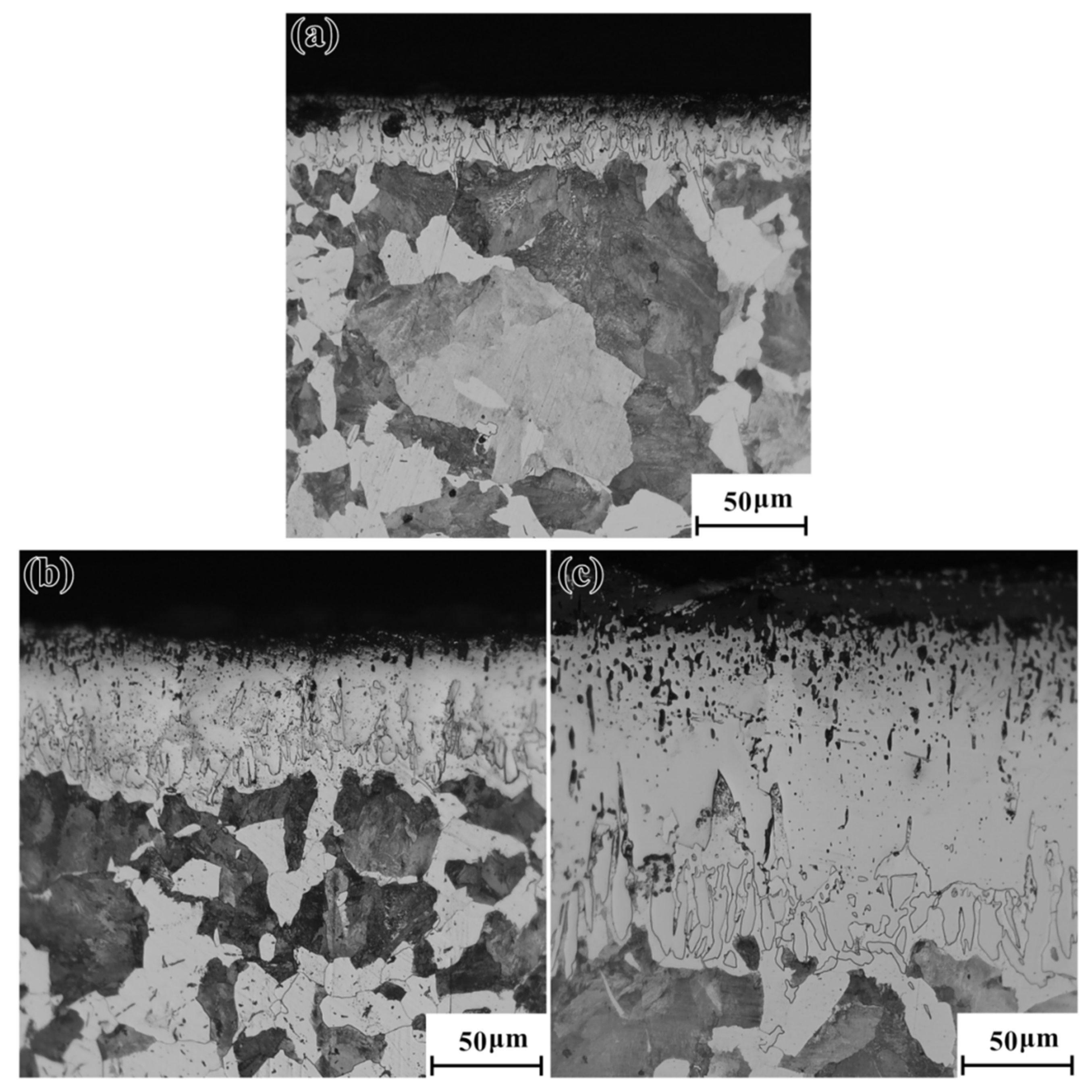 Coatings 16 00149 g002
