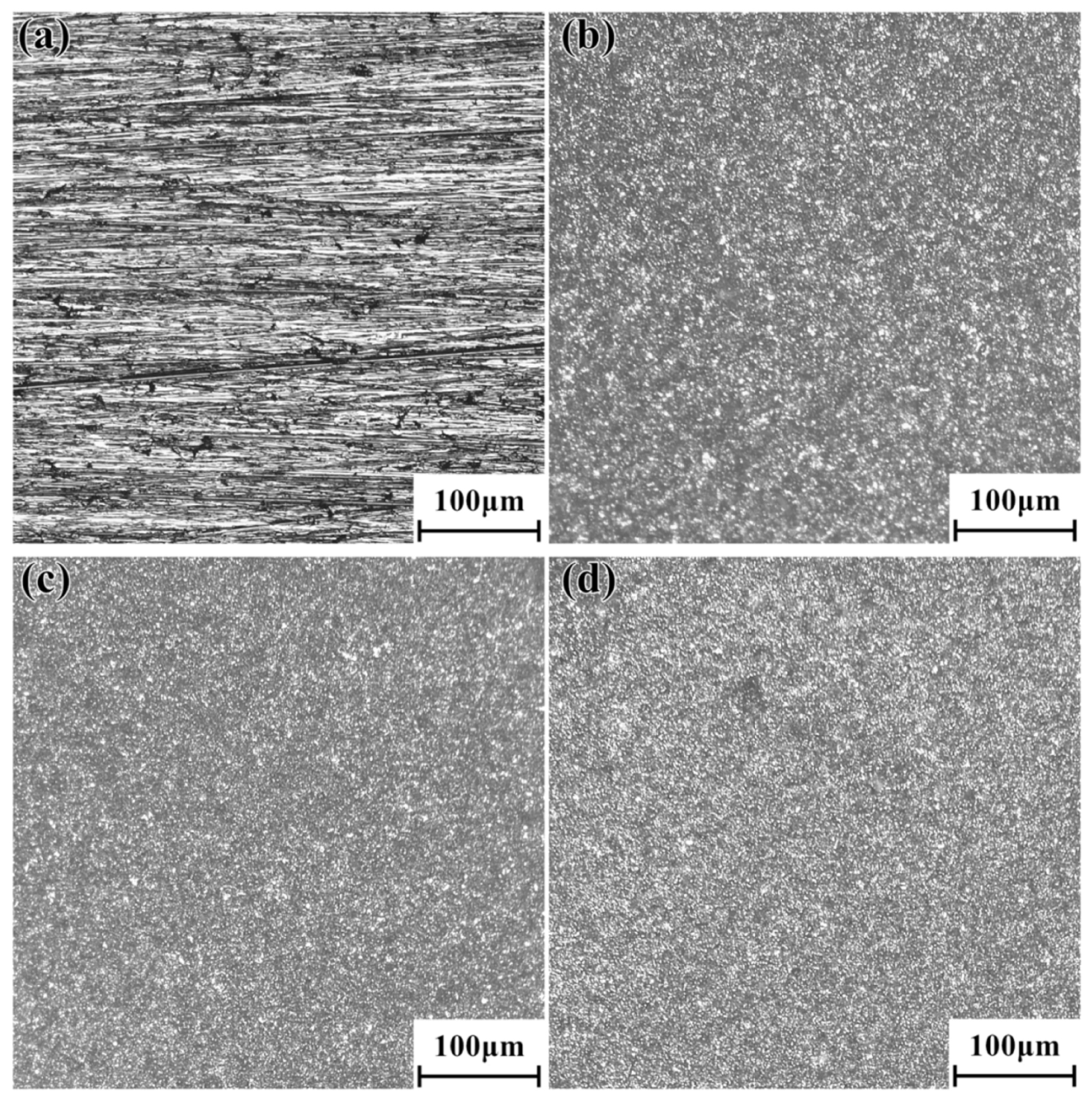 Coatings 16 00149 g005