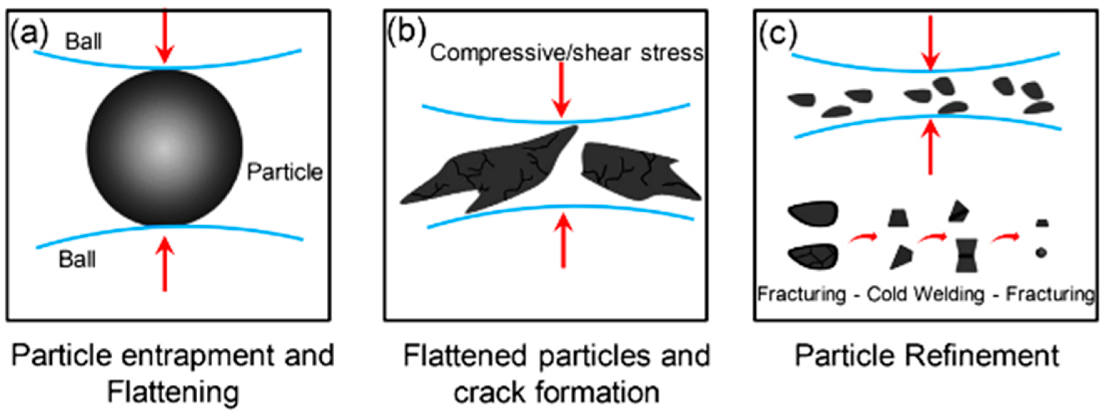 Coatings 16 00174 g006 Coatings 16 00174 g006
